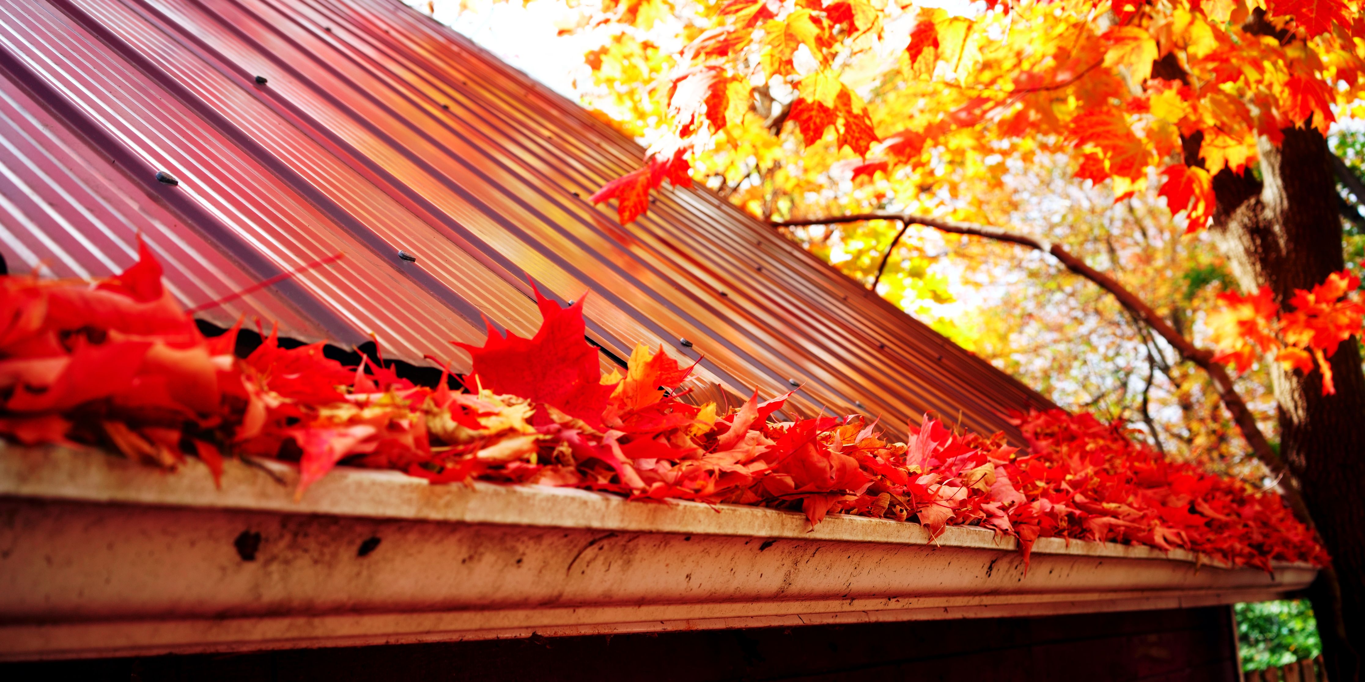 Fall Home Maintenance Checklist: 15 Tasks to Prepare Your Home for Winter