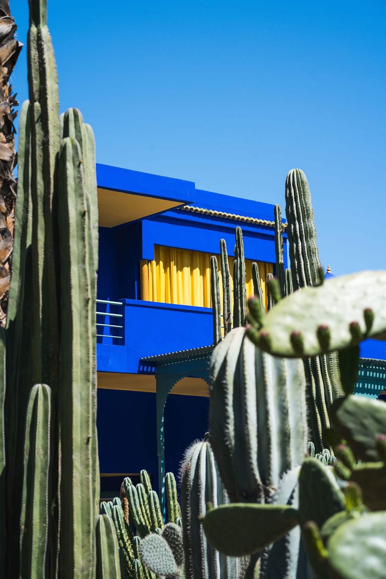 Blue, Cactus, Majorelle blue, Saguaro, San Pedro cactus, Architecture, Sky, Botany, Flower, Plant, 
