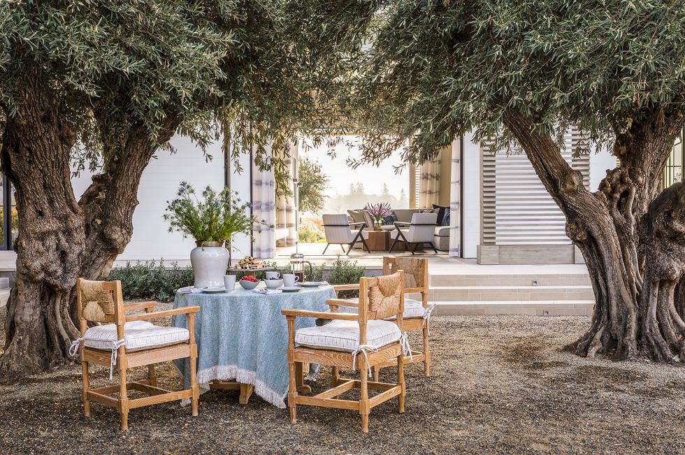 courtyard at the koman residence in napa valley, ca for marshall watson designs photographed by lisa romerein