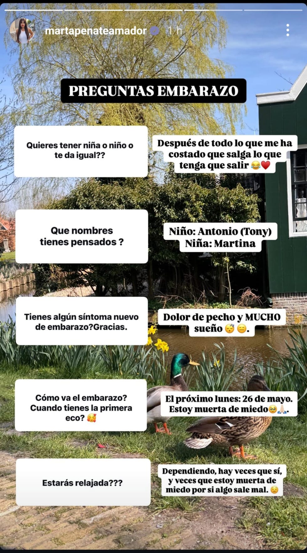marta penate confirma tras quedarse embarazada que su bebe se llamara antonio si es nino y martina si es nina
