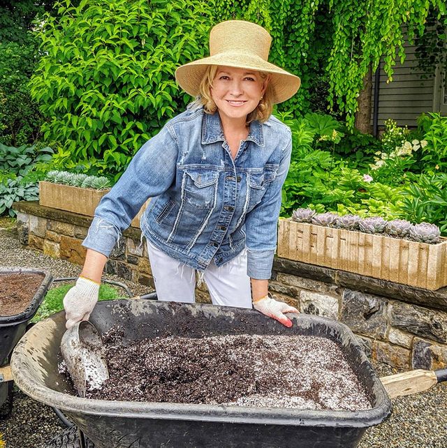 martha stewart new gardening show hgtv