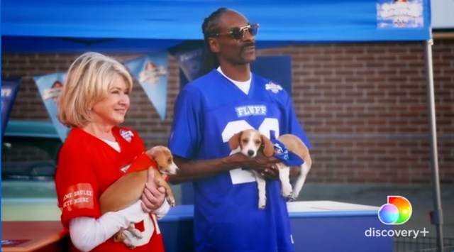 Puppy Bowl 2021: Live stream, start time, TV channel, full list of dogs,  how to watch Martha Stewart, Snoop Dogg host (Sun., Feb 7) 