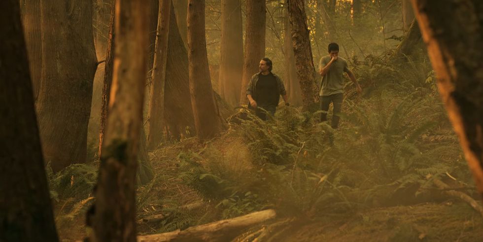 Virgin River' Director Dissects Wildfire-Set Season 5 Episodes 5 & 6 –  Deadline