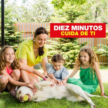 Familia disfruta del verano con su perro familia disfruta del verano con su perro