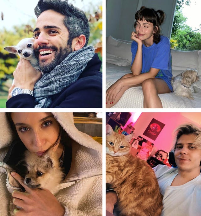 mascotas con padres famosos roberto leal, Úrsula corberó, maría pedraza, el rubius, bibiana fernández, tamara falcó, maxim huerta, dani rovira, mónica cruz, paloma cuevas, inma cuesta, sara carbonero, rudy fernández, maría pombo, blanca suárez, malú, ana obregón, najwa nimri, raquel meroño, samantha vallejo nágera, ainhoa arteta