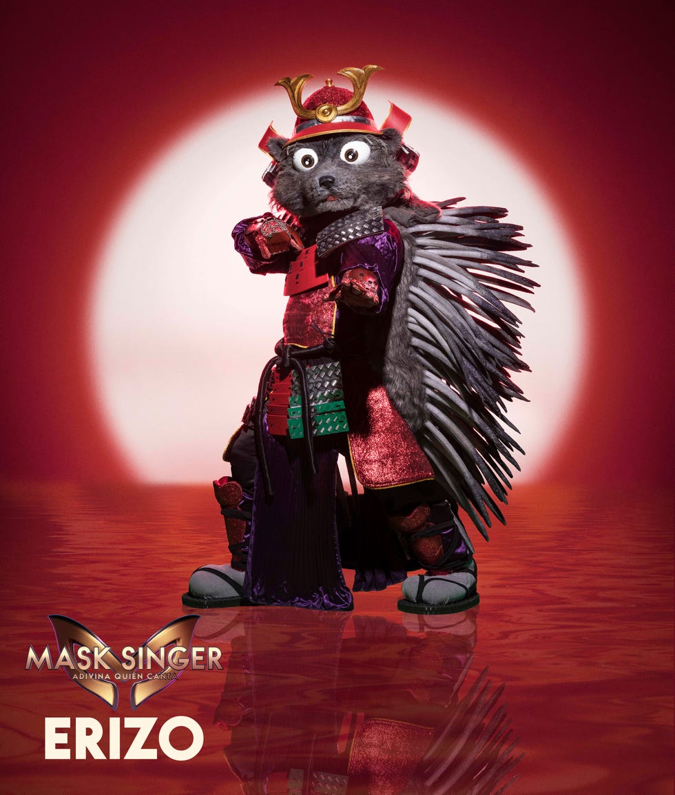 mascara erizo mask singer 2