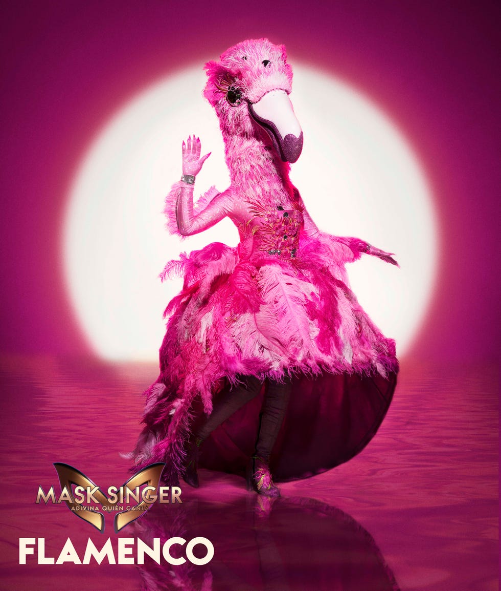 mascaras flamenco mask singer 2