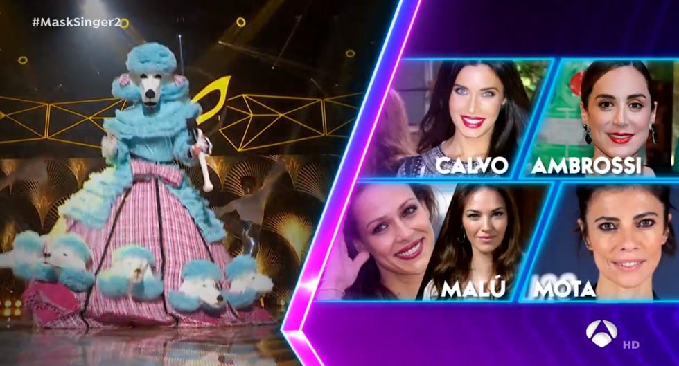 mask singer caniche