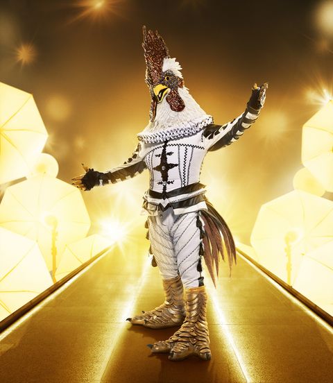 'the masked singer' cast of season 5 in 2021  who are the contestants on 'the masked singer'