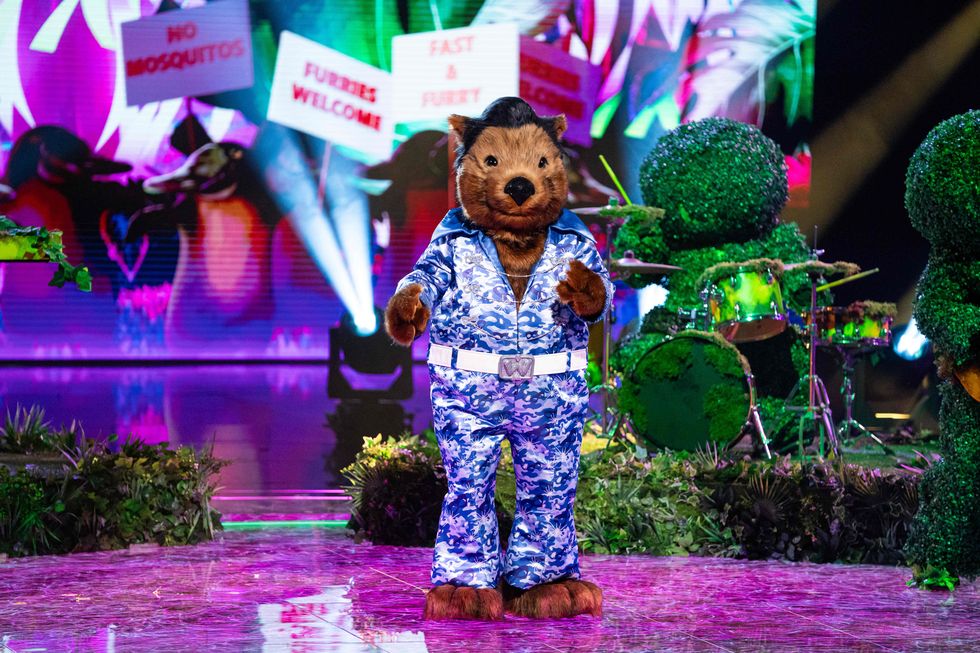cantante enmascarado soy un wombat famoso
