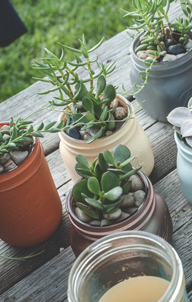 Mason Jar Crafts - Succulent Garden