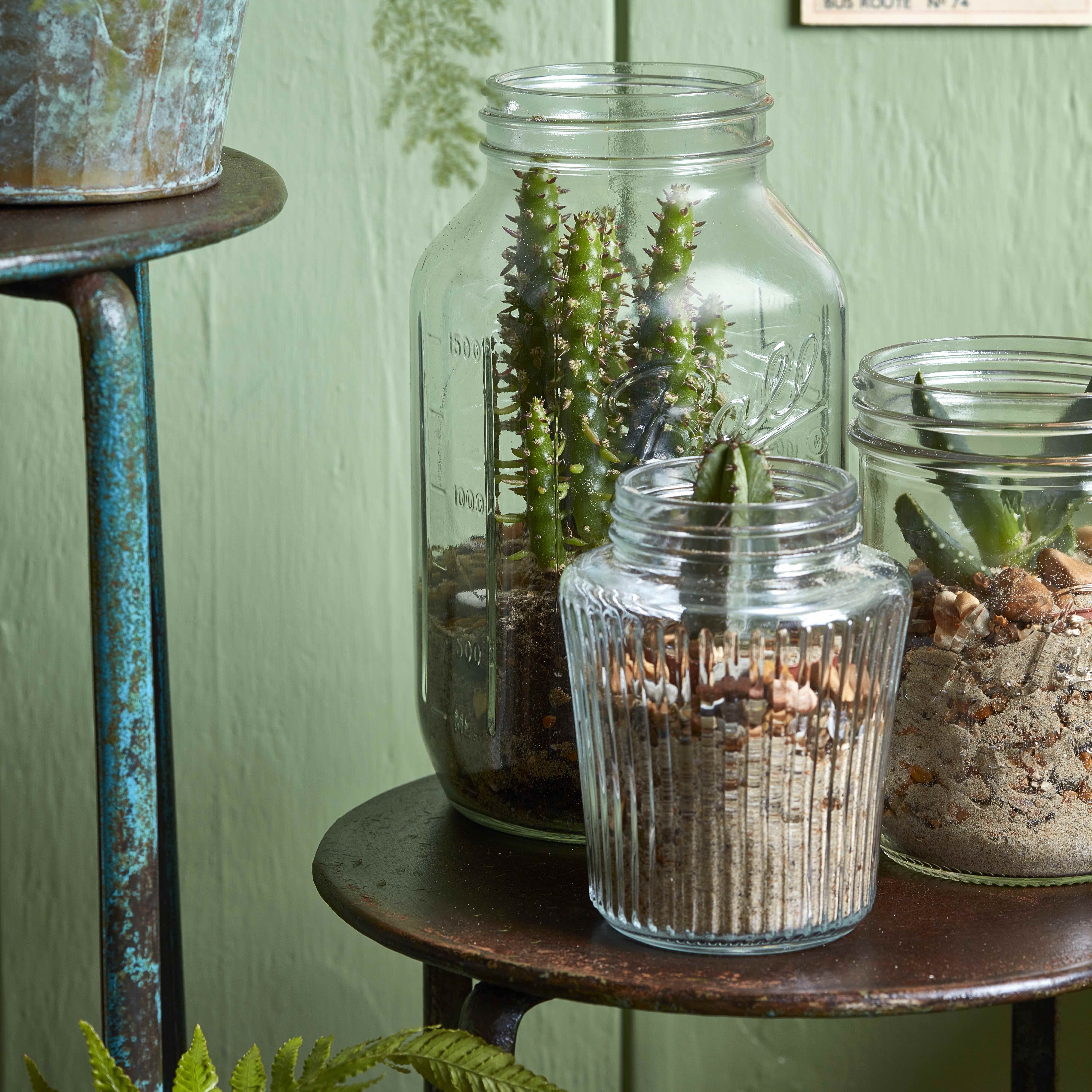 How to use leftover mason jars to make a cacti garden