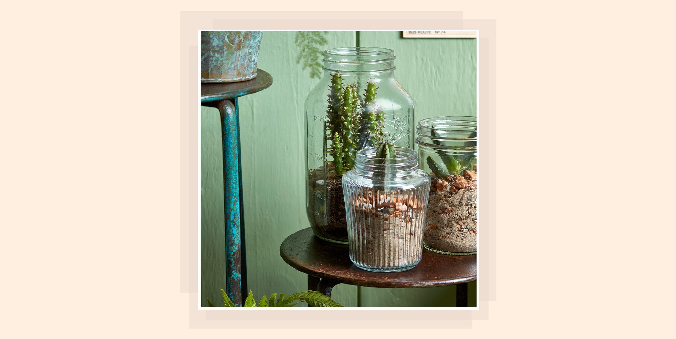 How to use leftover mason jars to make a cacti garden