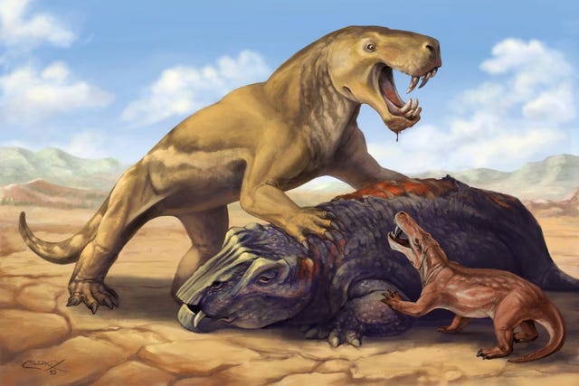 massa extinctie inostrancevia karoo zuid afrika