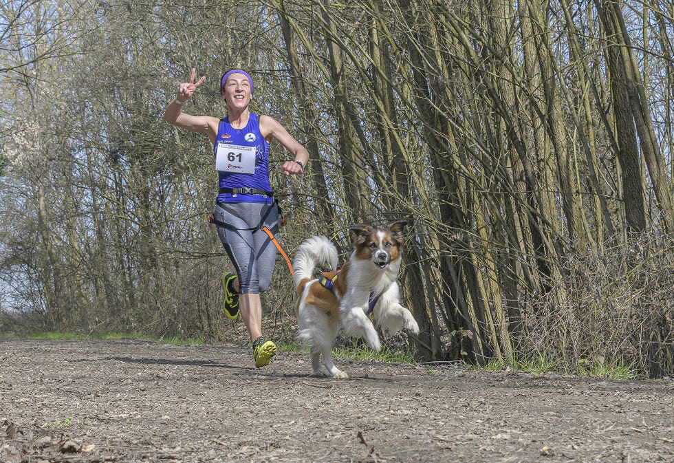 canicross