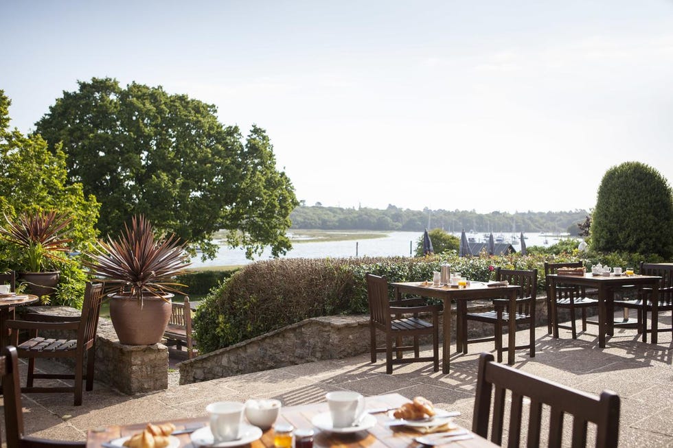 new forest hotels