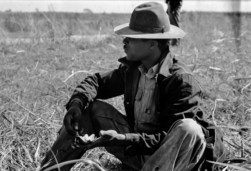 A New Book Scoured 170,000 Forgotten Photos to Create an