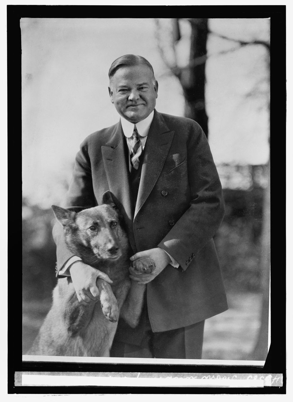 De normaalgesproken nogal stijve Herbert Hoover lacht naar de camera terwijl hij in 1928 poseert met zijn lievelingshond King Tut Algemeen wordt gedacht dat de foto veel heeft geholpen om een menselijker beeld te scheppen van de presidentskandidaat