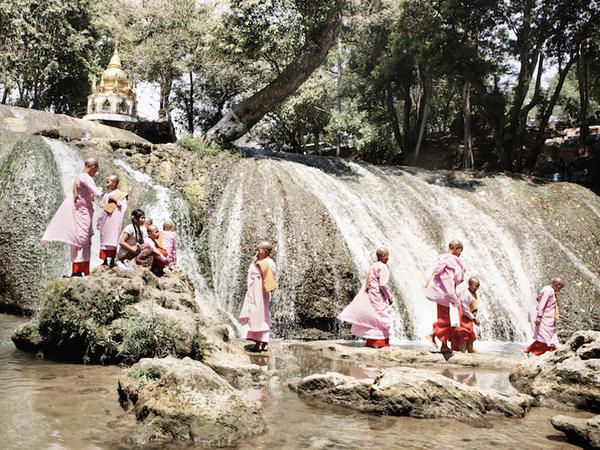 Water, Pink, Water resources, Tree, Watercourse, Spring, Water feature, Fun, River, Dress, 