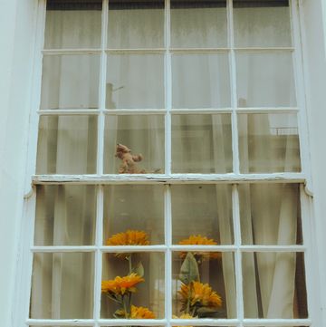 finestra con girasoli
