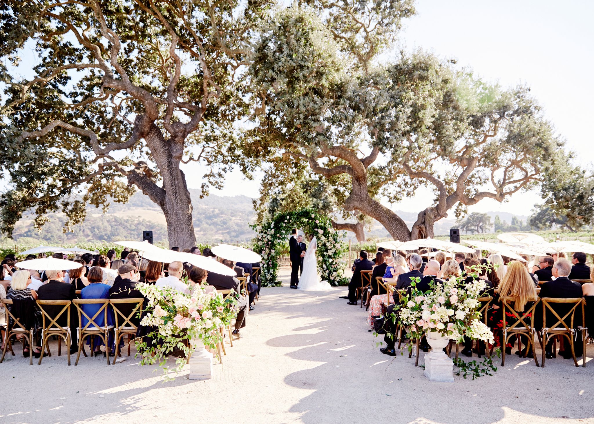 Photograph, Tree, Ceremony, Event, Table, Plant, Wedding, Landscape, Wedding reception, Photography, 