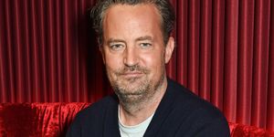 matthew perry's "the end of longing" photocall