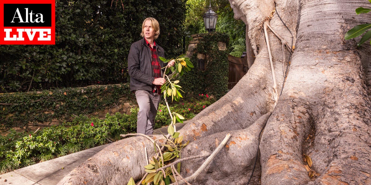 The Architecture of LA’s Trees