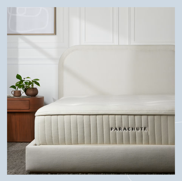 a white couch with a plant on it