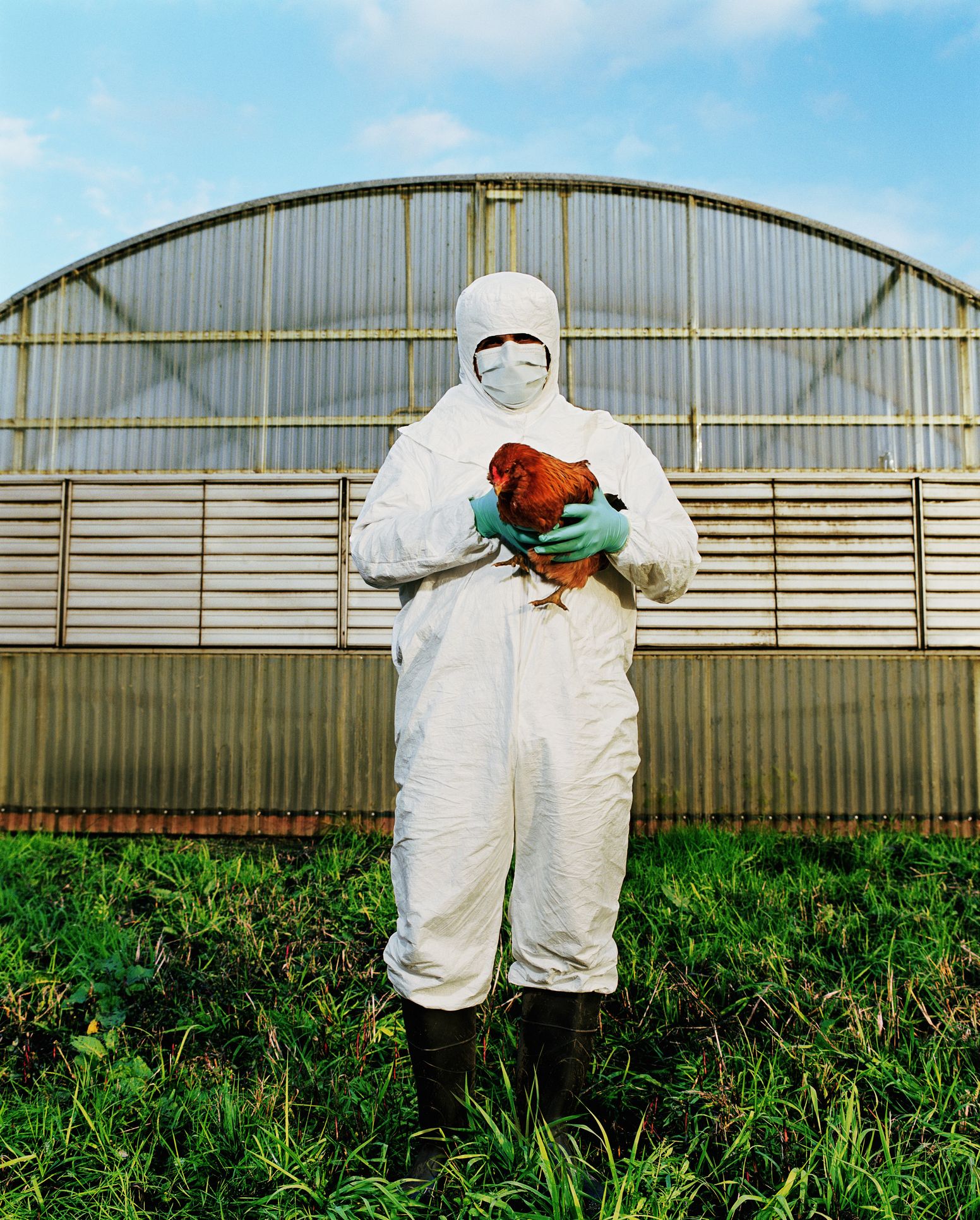 Michigan Farmworker Diagnosed with Bird Flu, 2nd Human Case Confirmed in the U.S. 