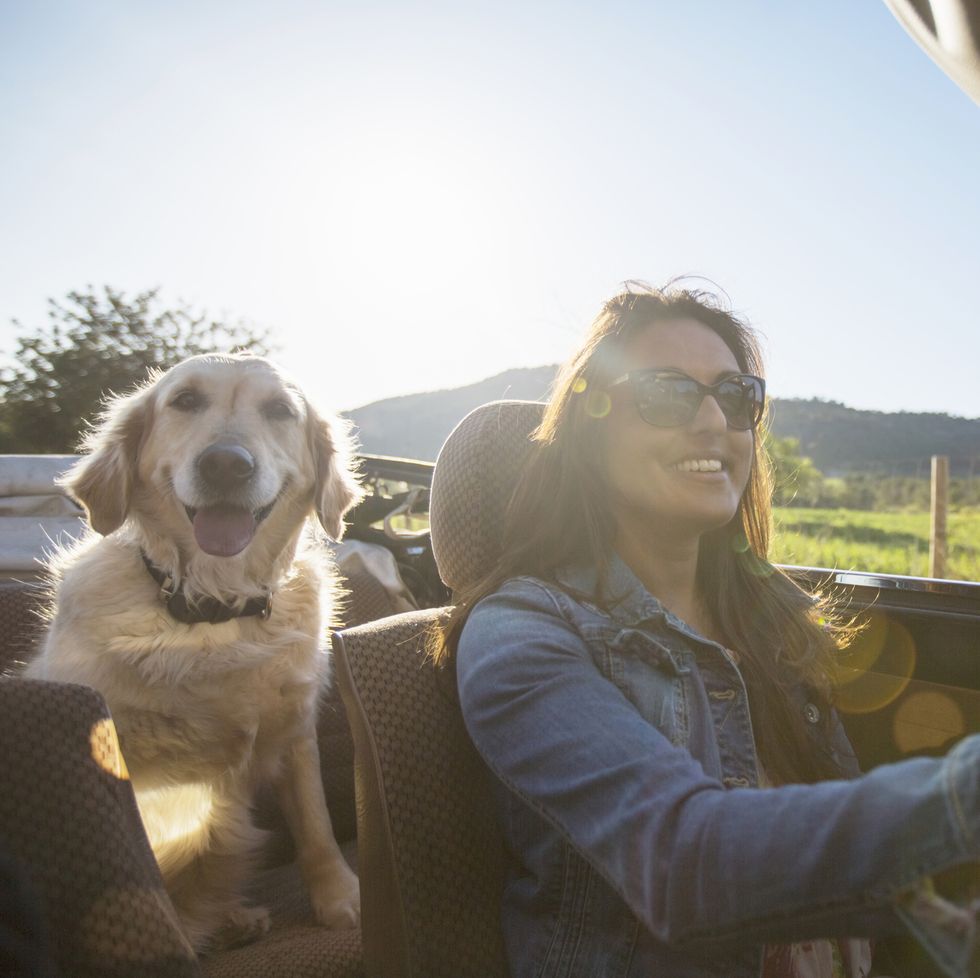 country dog names dog in convertible with owner