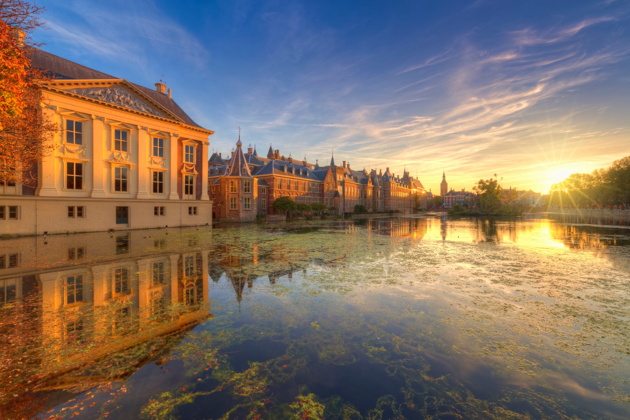 mauritshuis and dutch houses of parliament binnenhof and het torentje