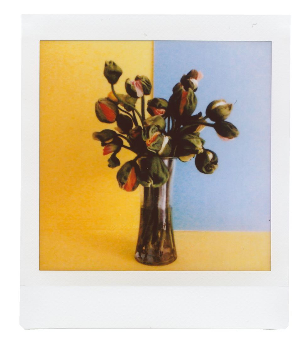 Painting, Still life, Plant, Flower, Still life photography, Tree, Vase, Picture frame, Art, 