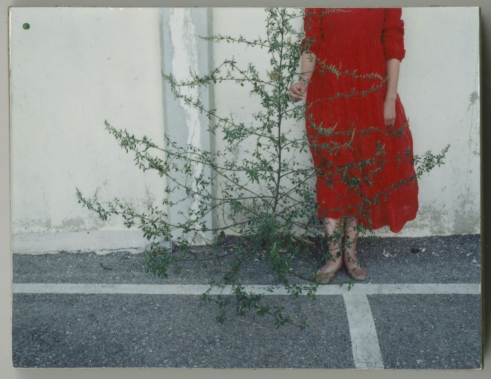 kate barry, mauvaises herbes, fotografia paesaggio, vestito rosso, natura