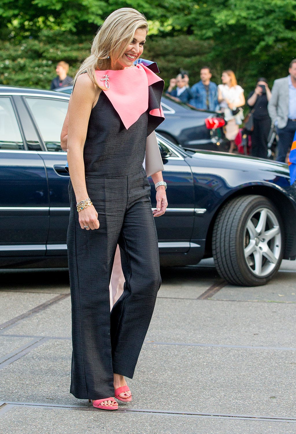 Máxima de Holanda looks