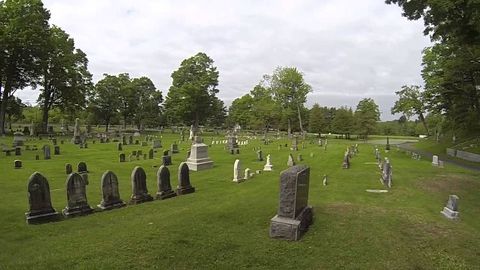 Cemetery, Grave, Headstone, Tree, Grass, Memorial day, Memorial, Park, 