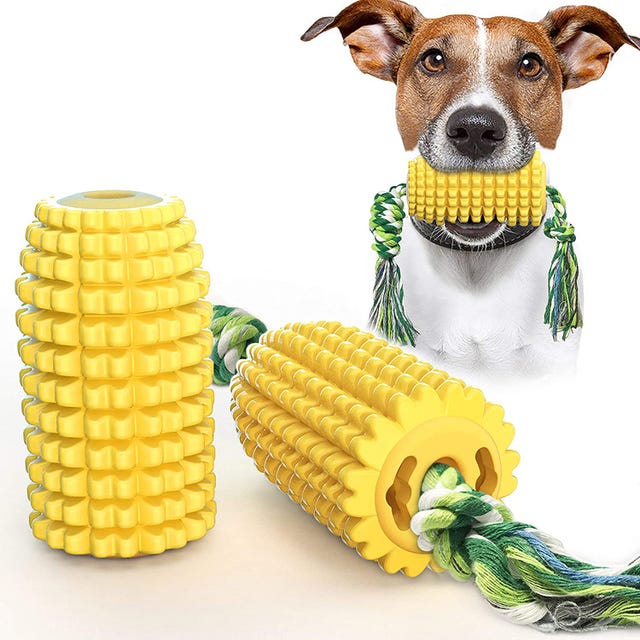 mazorca de maíz de juguete para perros