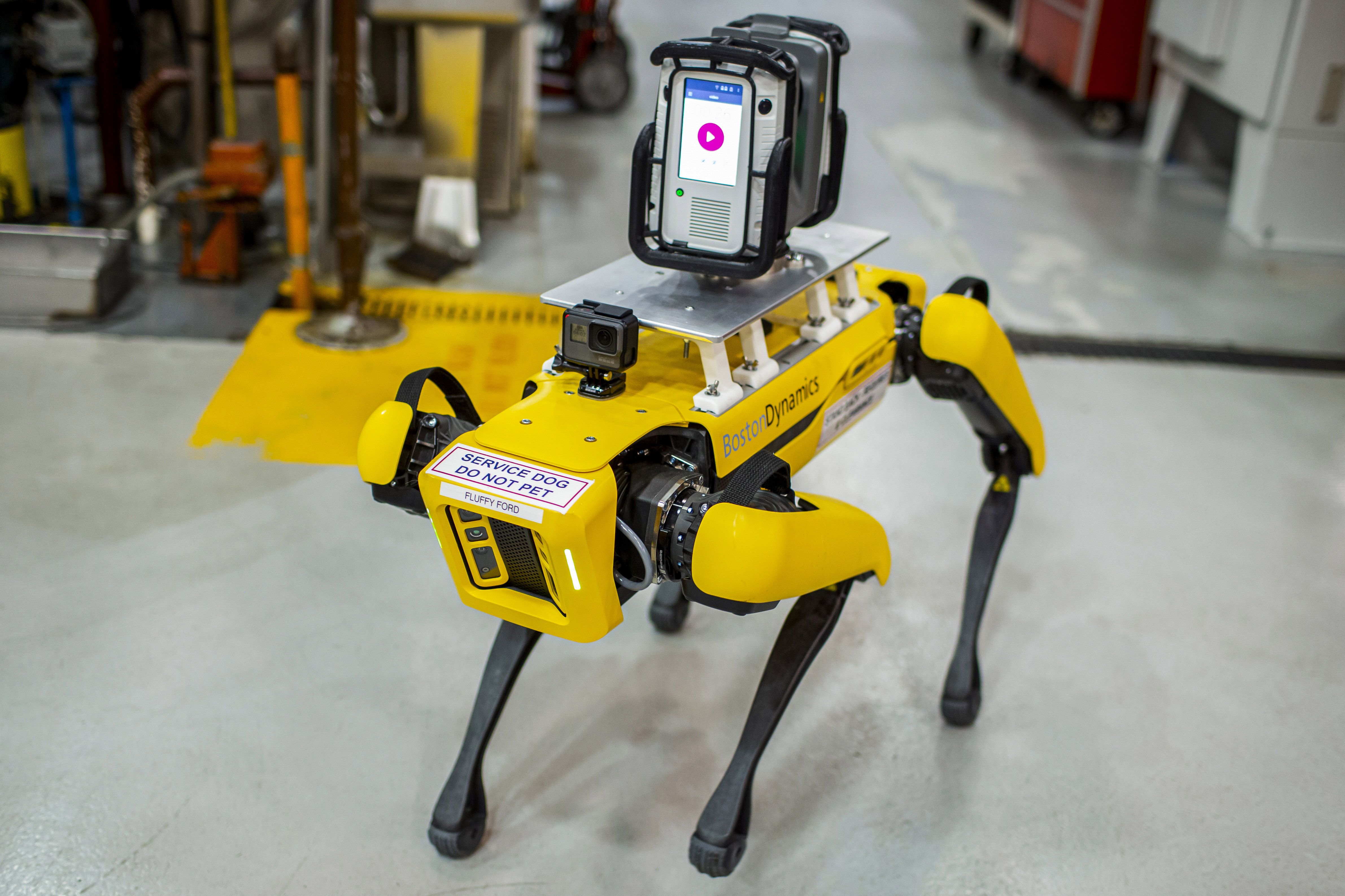 universitetsområde Bløde fødder Meget Ford Uses Terrifying Robotic Dogs to 3D-Map Factory