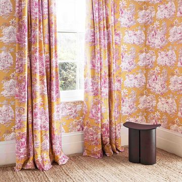 toile by manuel canovas
