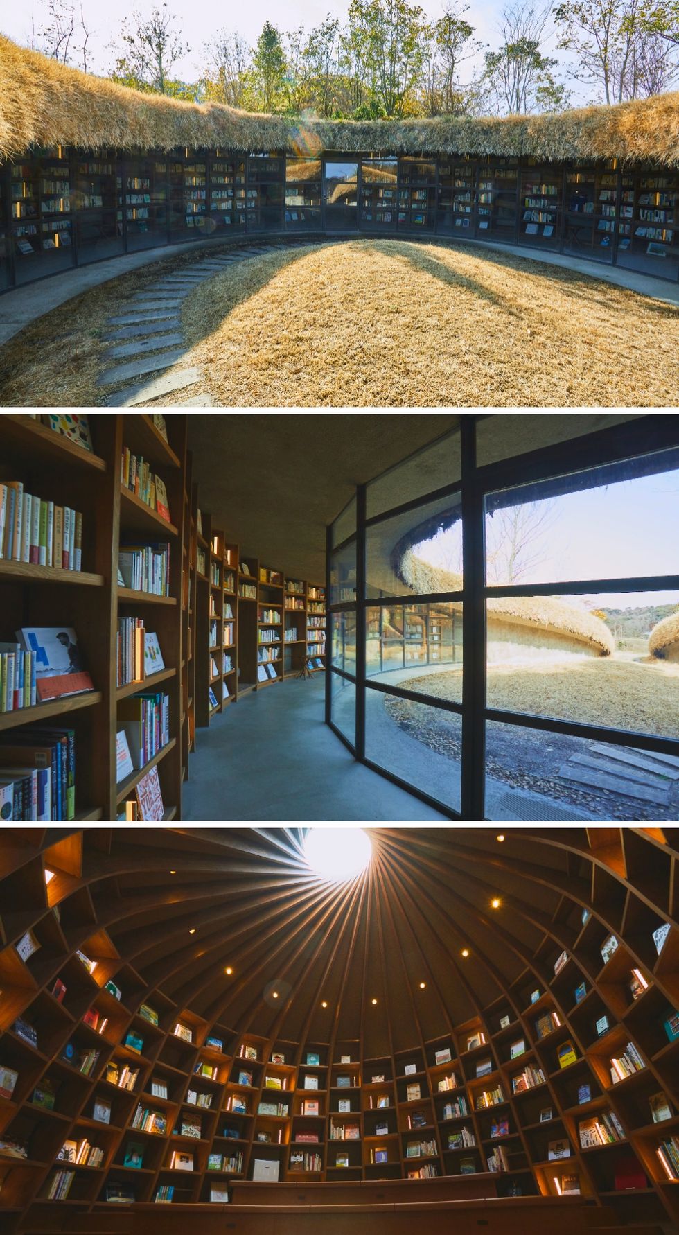 a collage of a library