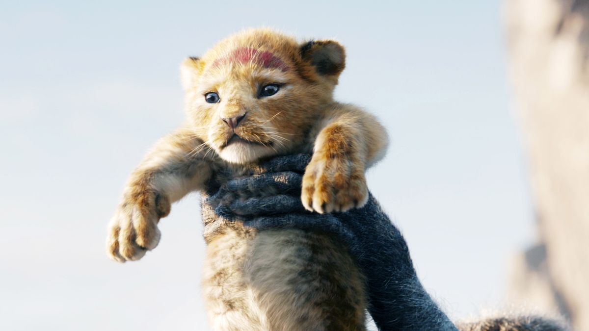 Lion King Sequel Guide to Release Date, Cast News, and Spoilers