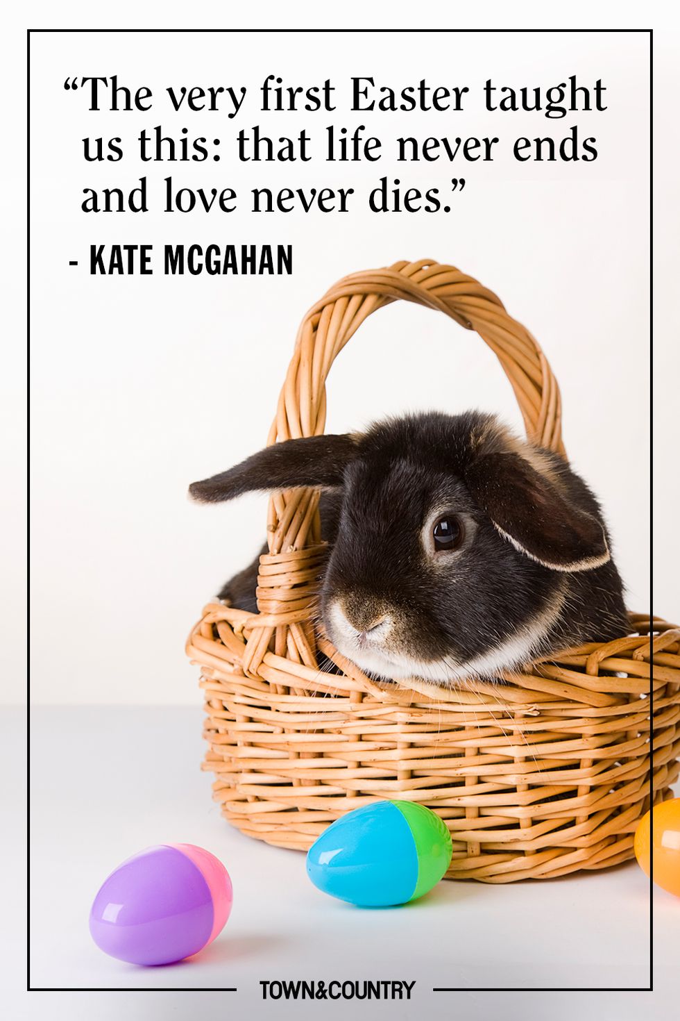 Domestic rabbit, Easter bunny, Basket, Picnic basket, Wicker, Easter, Rabbit, Photo caption, Hamper, Storage basket, 