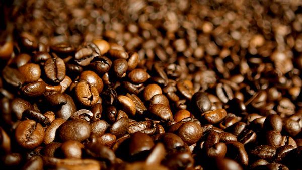 Caffeine, Single-origin coffee, Jamaican blue mountain coffee, Kapeng barako, Java coffee, Brown, Kopi luwak, Kona coffee, Coffee, Instant coffee, 