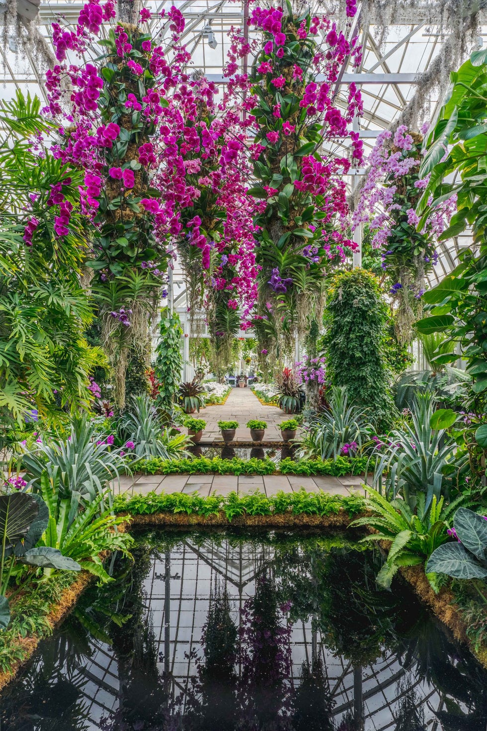 Inside the New York Botanical Garden's 19th Annual Orchid Exhibit