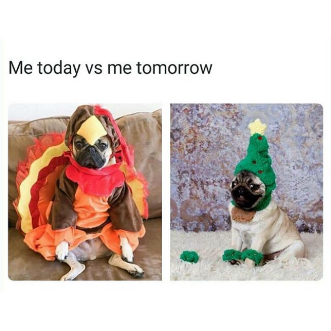 me today vs me tomorrow thanksgiving memes