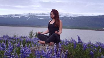 meditating on a meadow full of blooming lupines