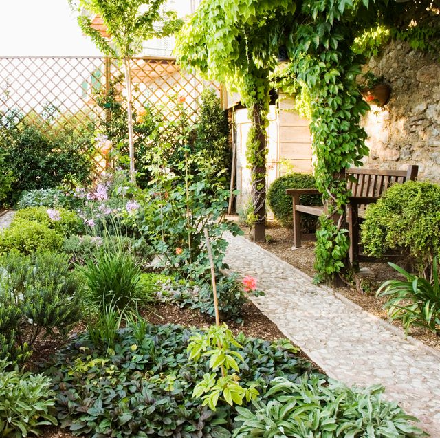mediterranean garden ideas