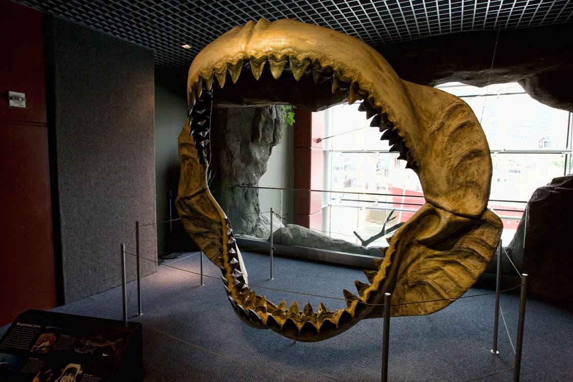 Exploding Stars Might Have Brought an End to the Prehistoric Megalodon
