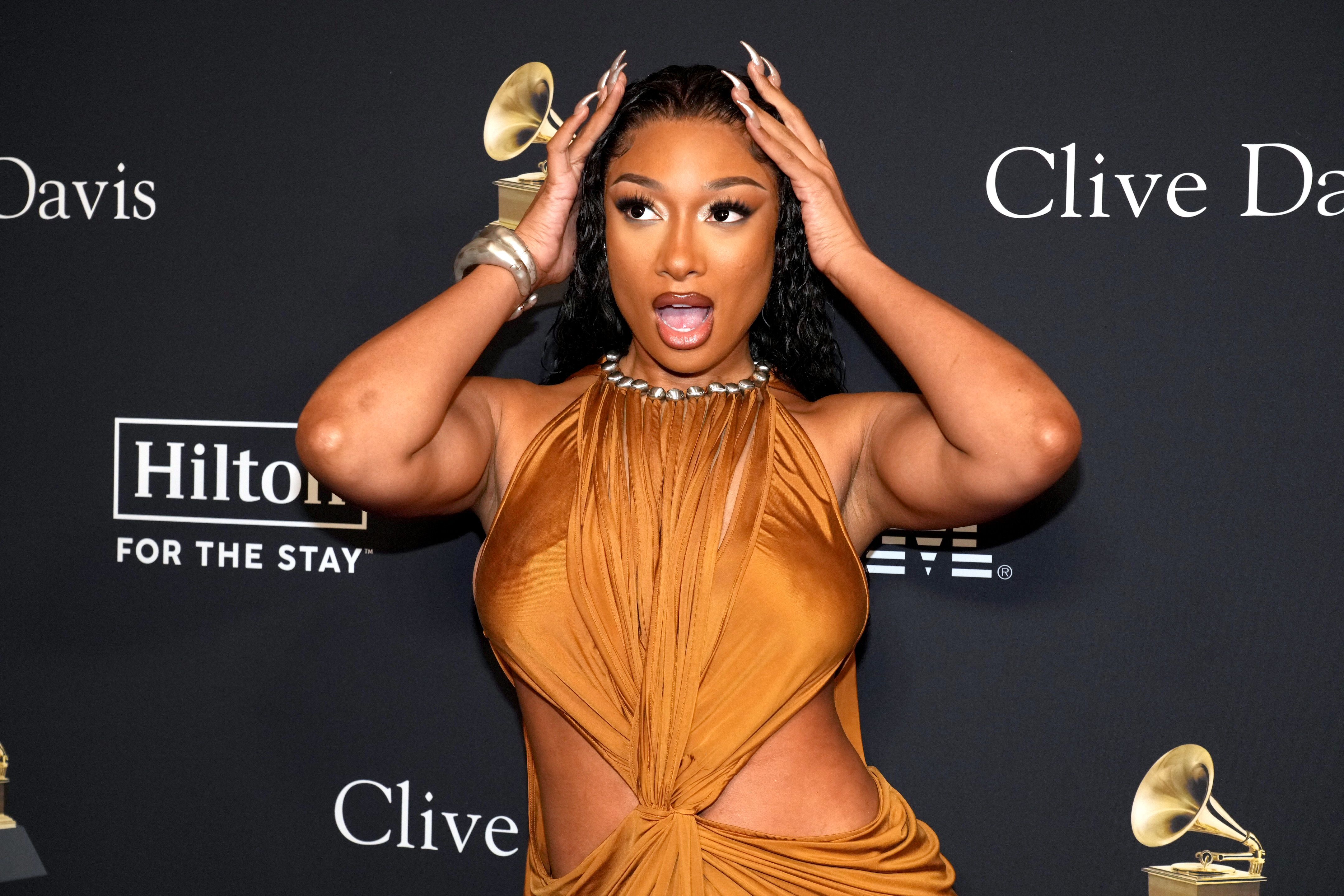 Megan Thee Stallion Praised for Affordable Concert Tickets