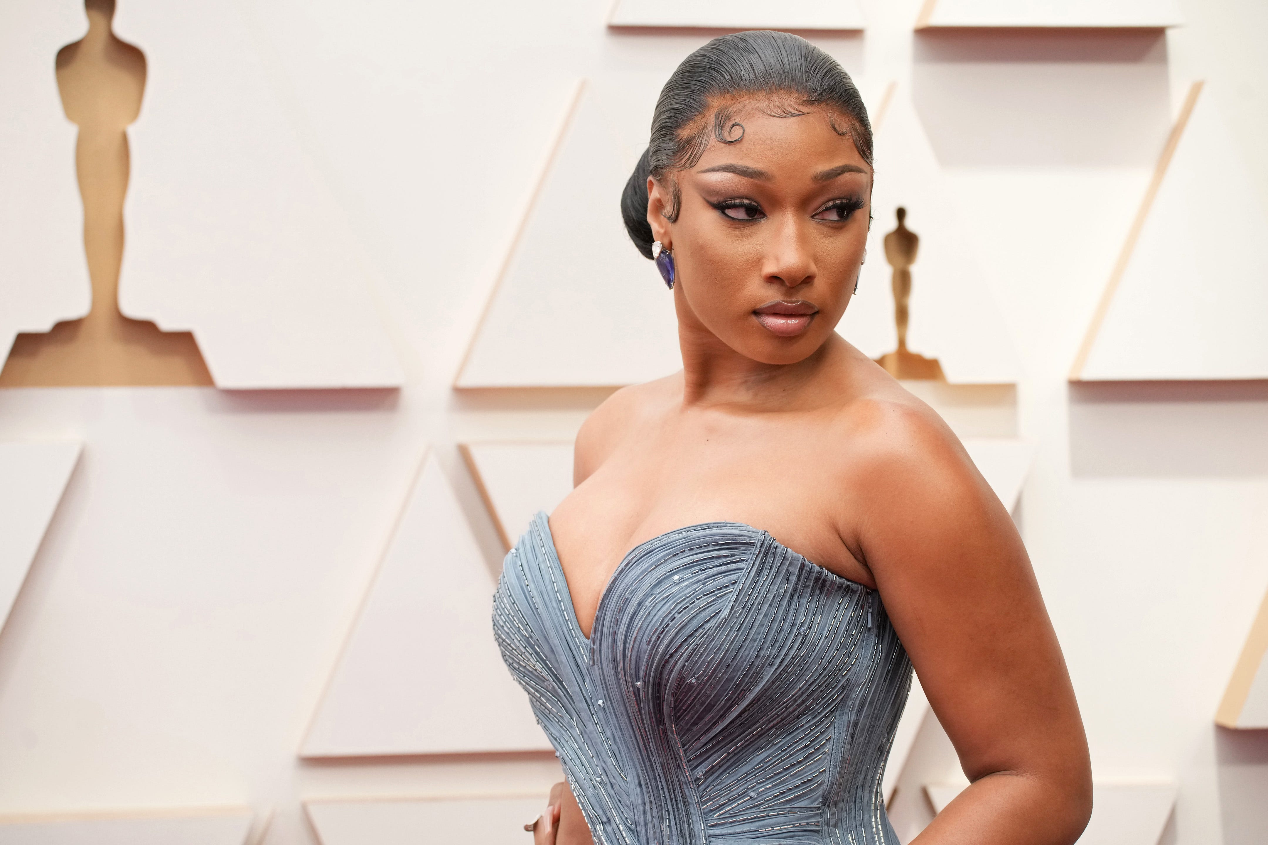 Megan Thee Stallion'S Team Addresses Recent Leaks - q75wpzr