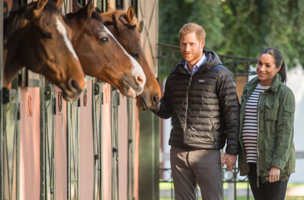 Los Duques de Sussex, Meghan Markle y el príncipe Harry